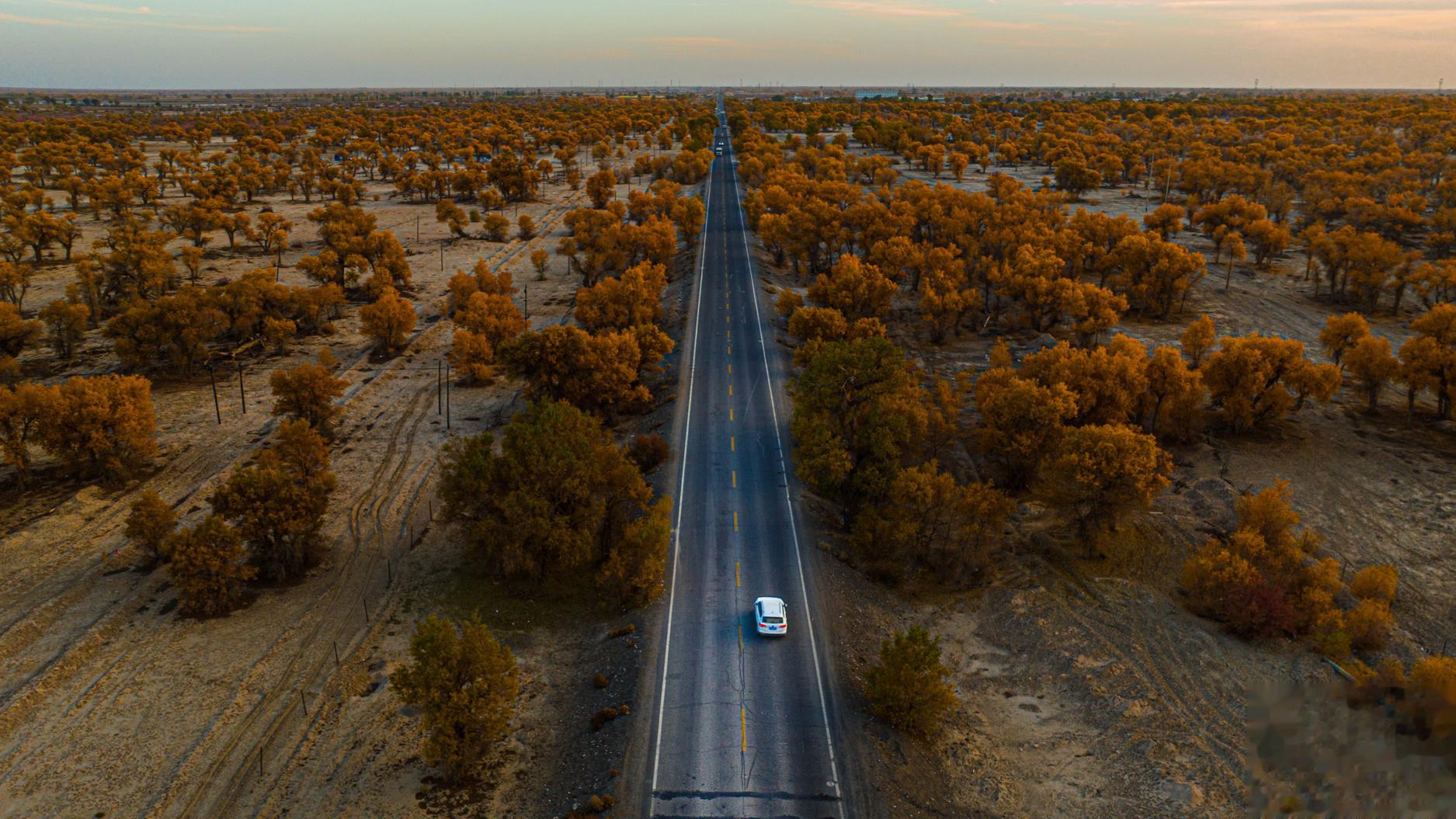 沙漠公路起点 新疆｜轮台#大美新疆#  