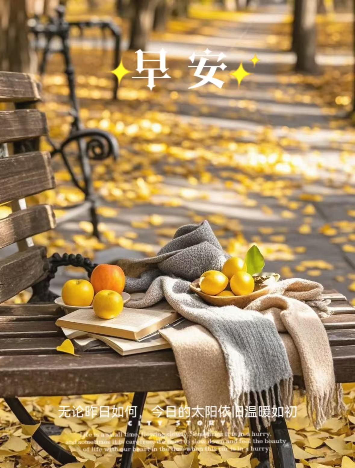 𝙈𝙤𝙧𝙣𝙞𝙣𝙜 早安生活最佳状态就是人静，物简，心安 