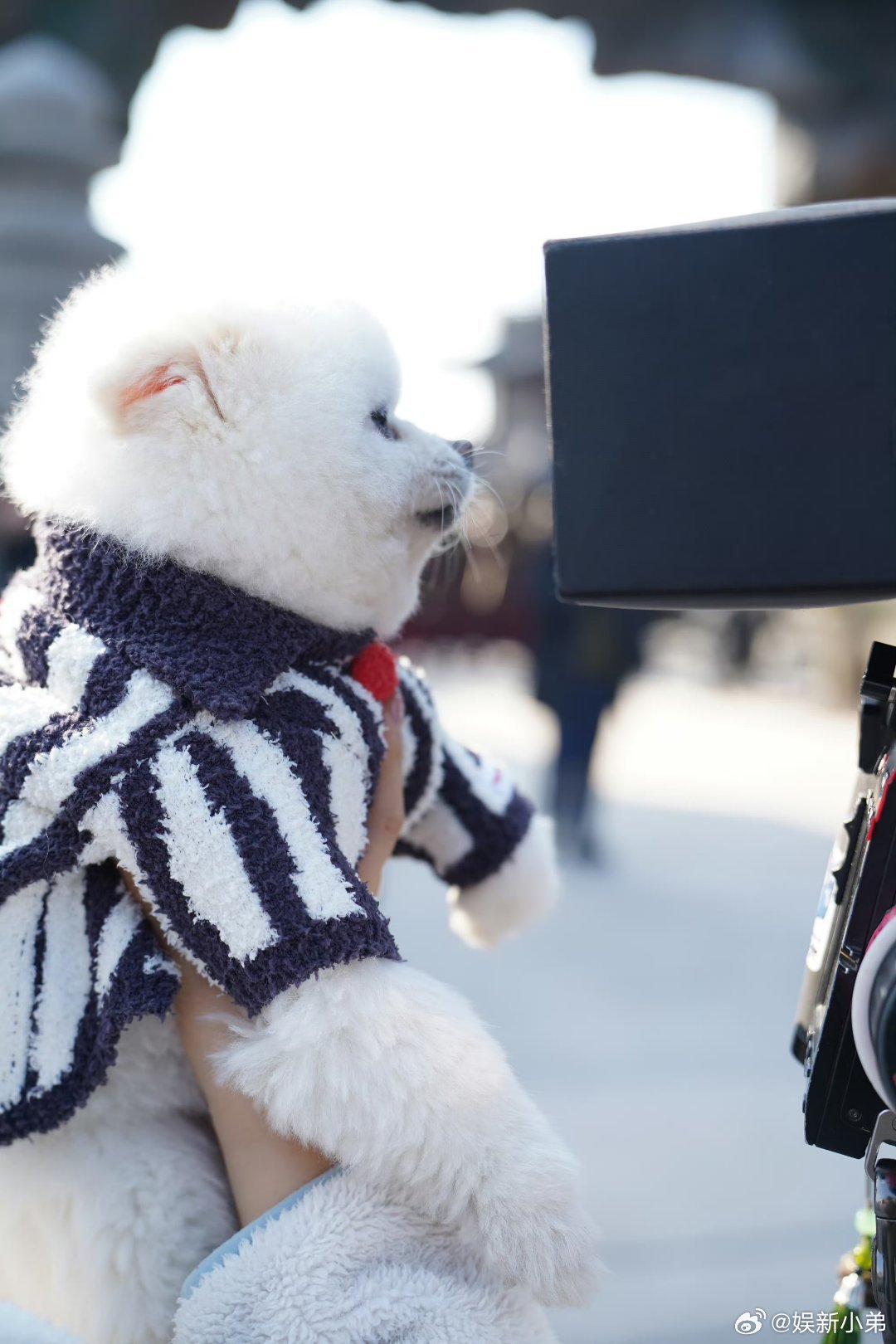 151顶流生力少老巧好可爱啊