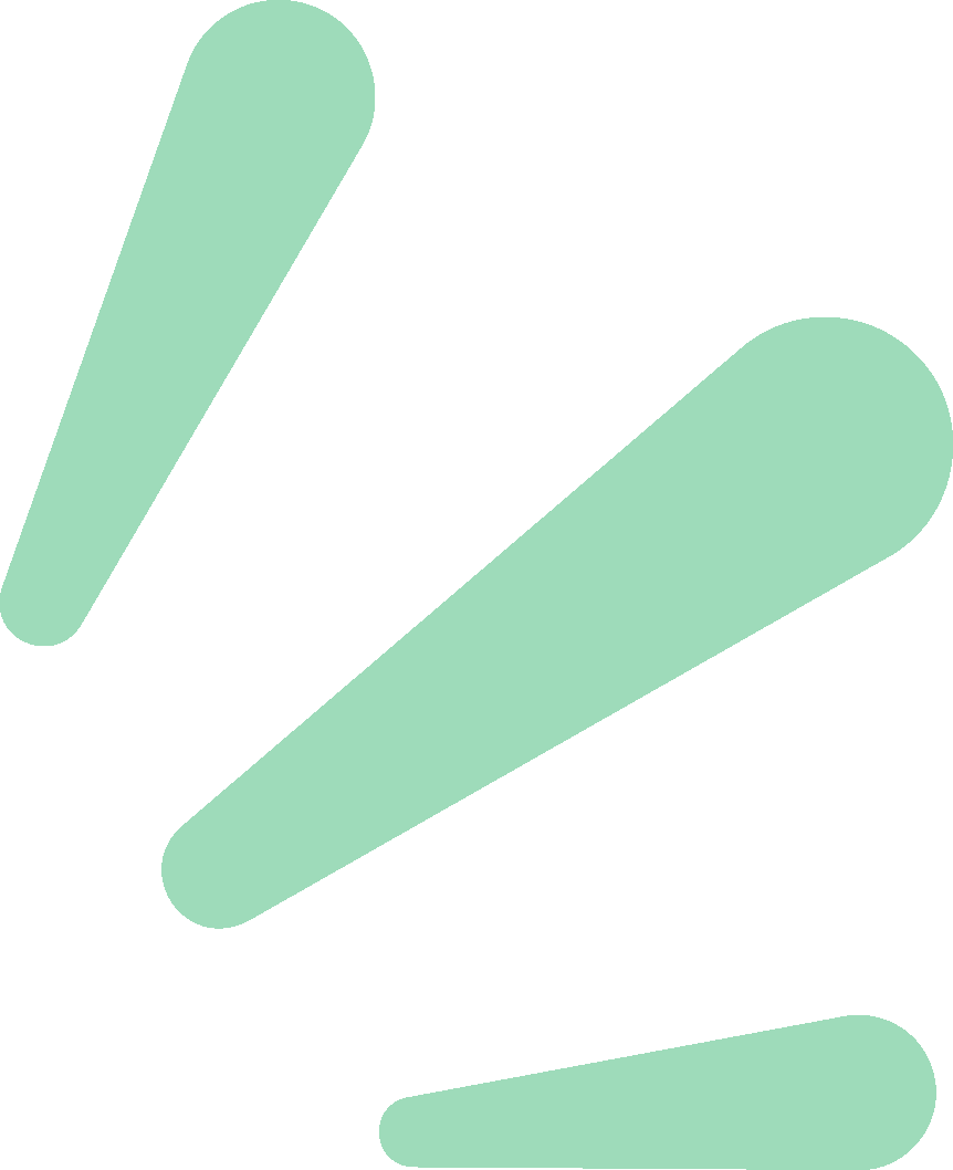 清明出行必看！高峰时间和路段→