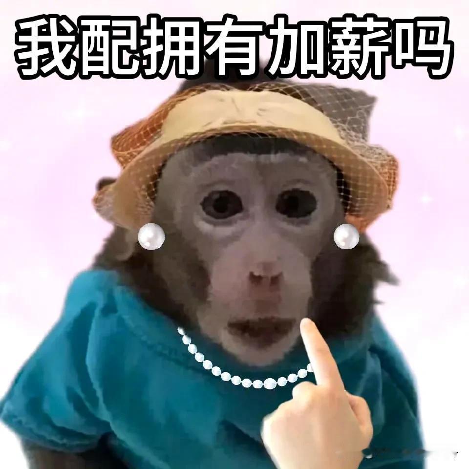 用麦林的口吻跟老板聊天，老板直接用手哥的语气说负分滚粗！
