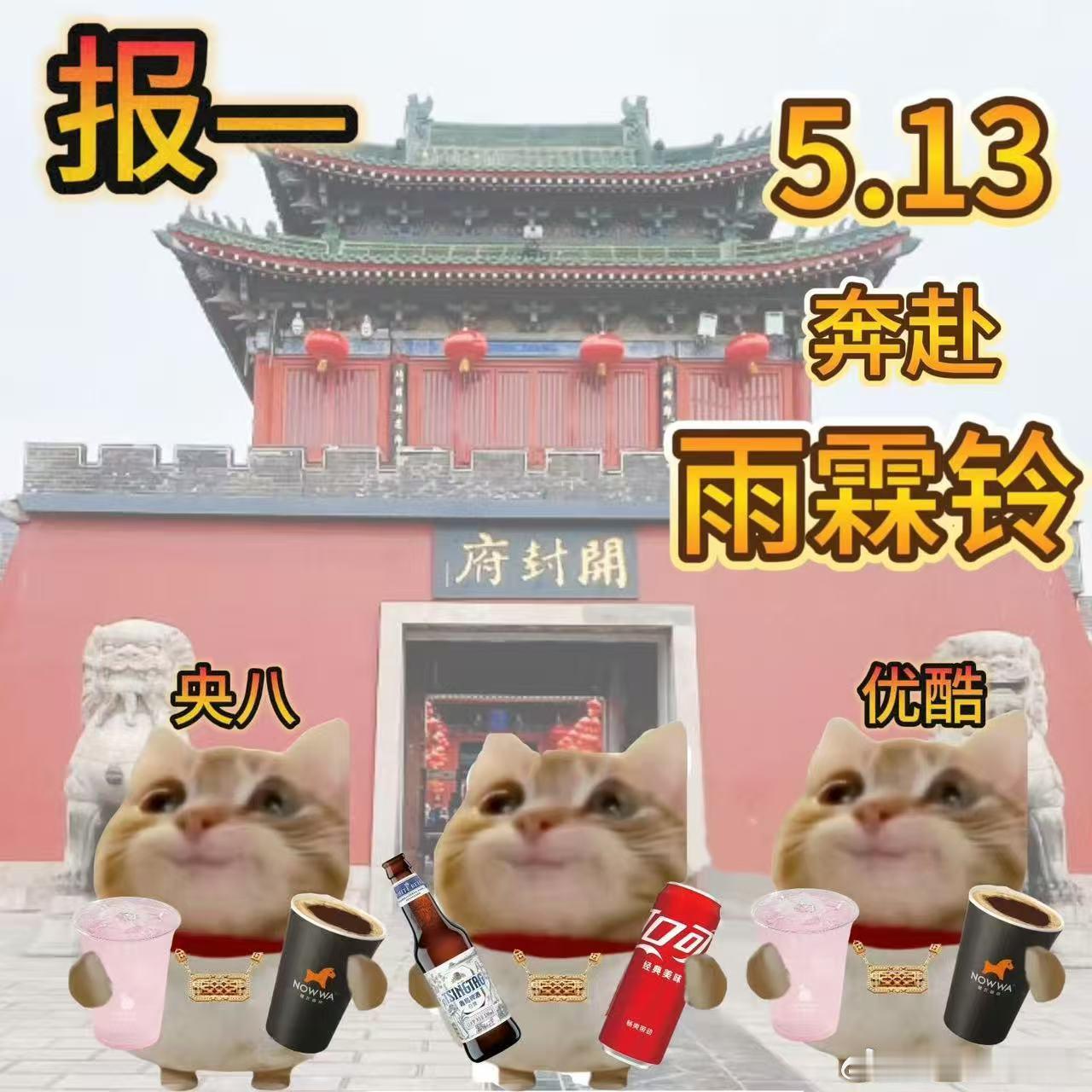 杨洋回应雨霖铃开播 御猫头像可爱值直接拉满，杨洋悄悄换头像官宣开播，温柔氛围感十