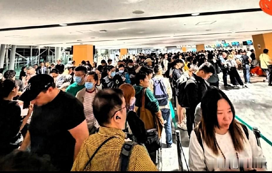 日本人在中国不回国的目的是什么？
 
近期，日本多地机场出现中国同胞排队回国的热