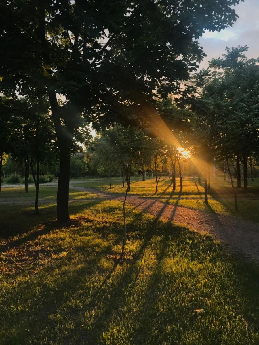 这里真的有光啊！sunrise