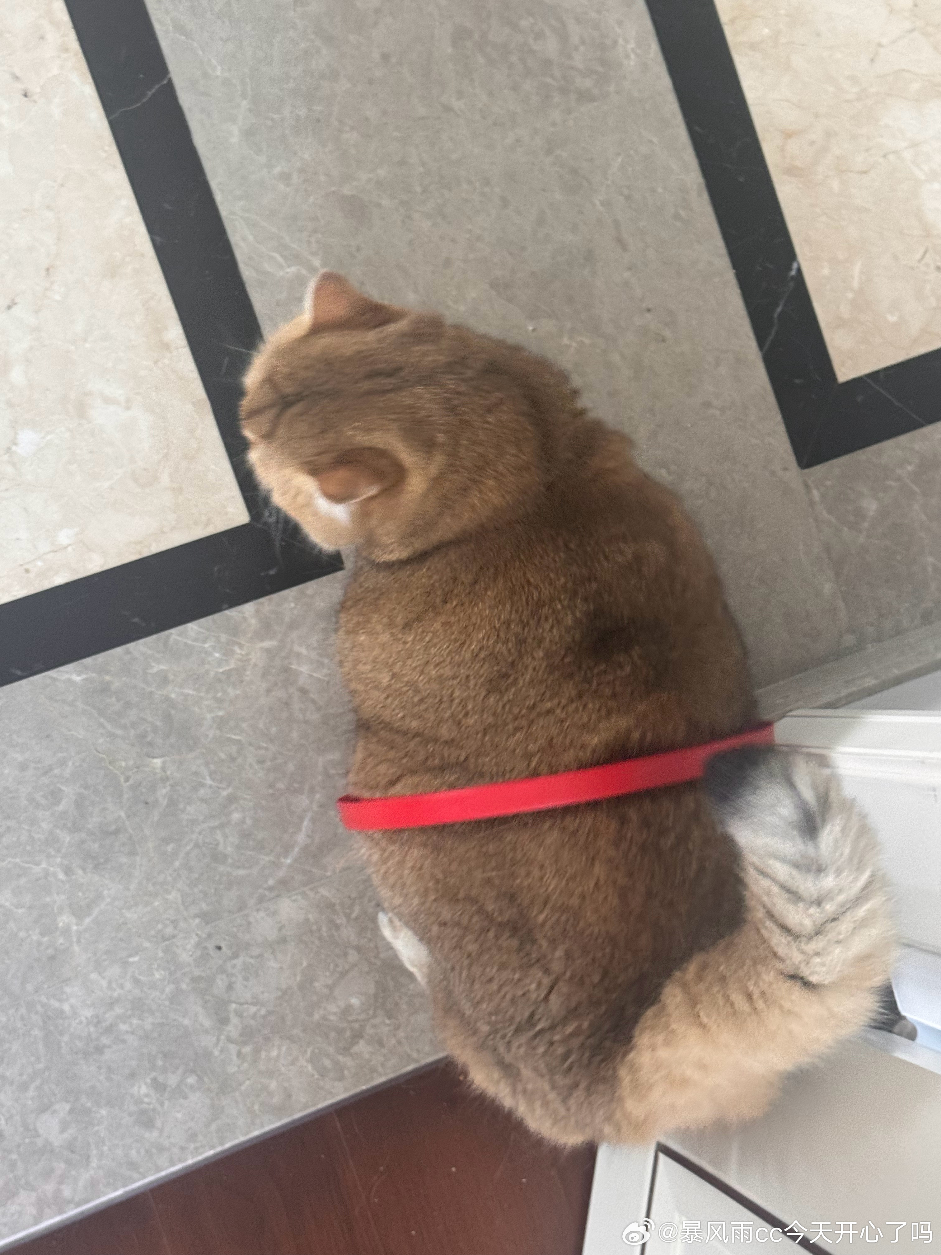 扒垃圾桶的证据都套在身上了