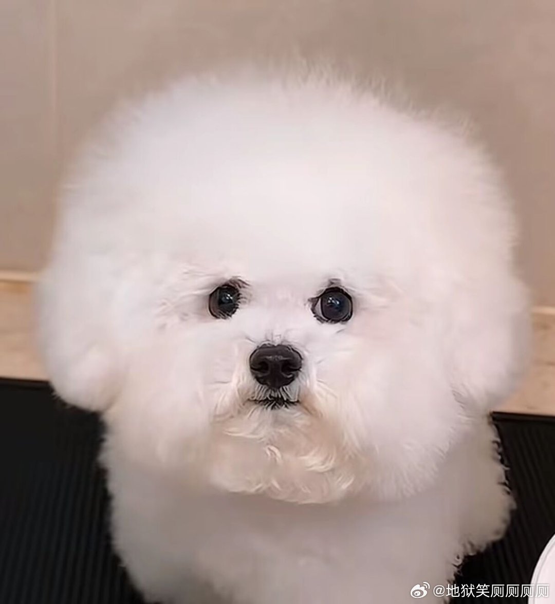 1327头包脸的重要性 