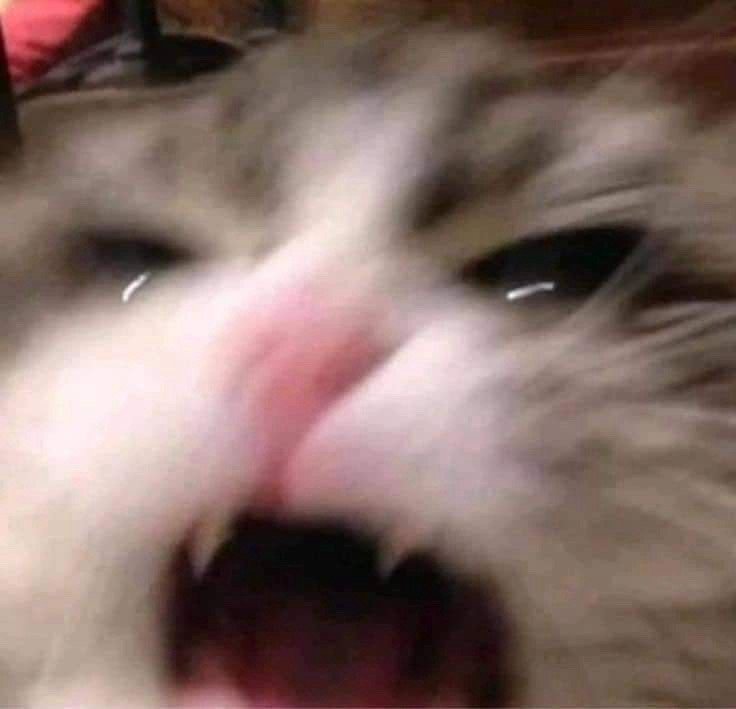 《呐喊》 ​​​