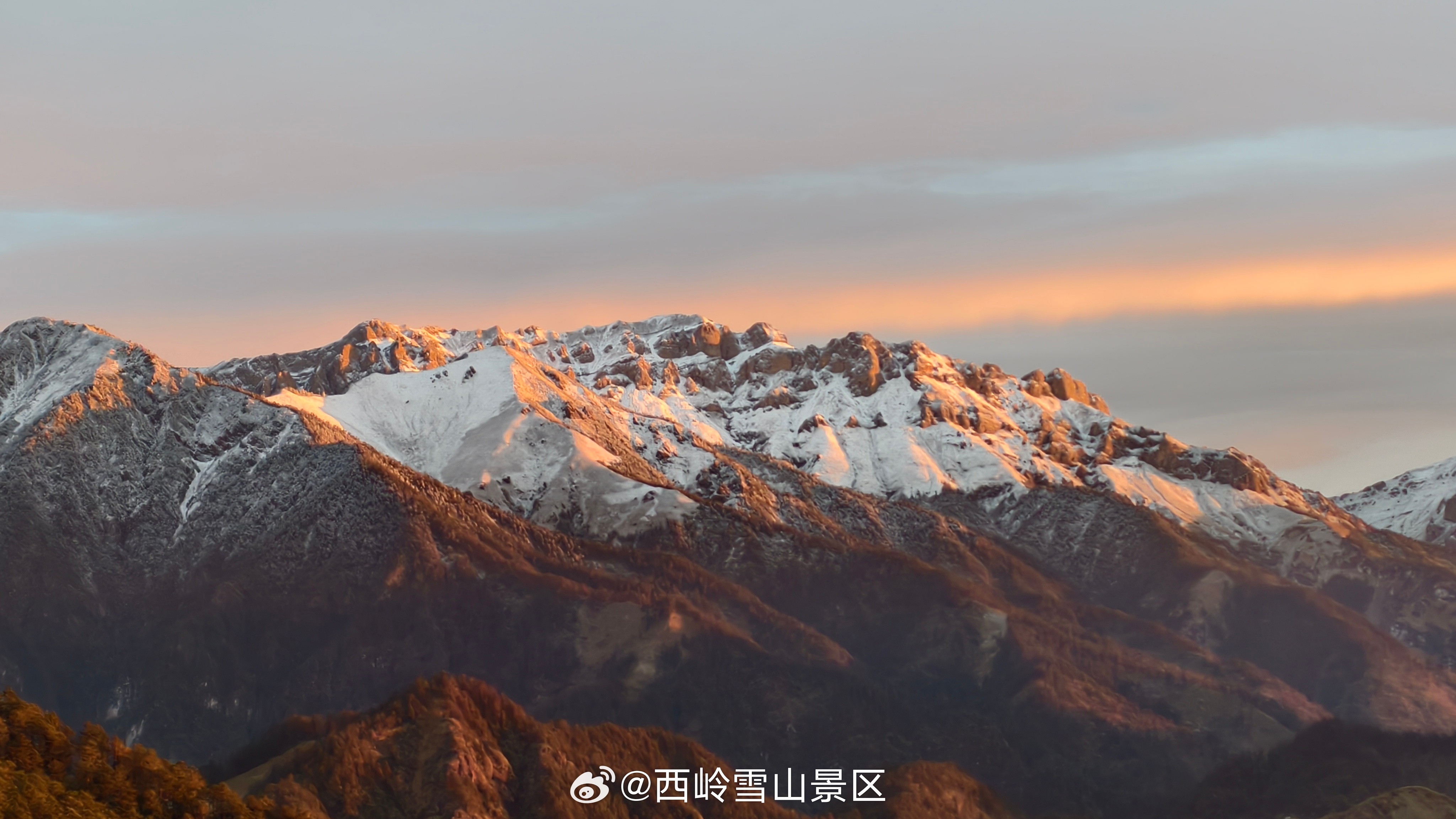 2026年5月9日早安西岭｜松枝为框，雪山为画，朝阳为序山醒了，雪亮了，西岭的早