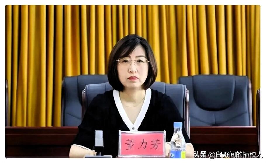 18岁看库房，48岁进班子。

董力芳这辈子，简直就是一部县城版“奋斗史”，可惜