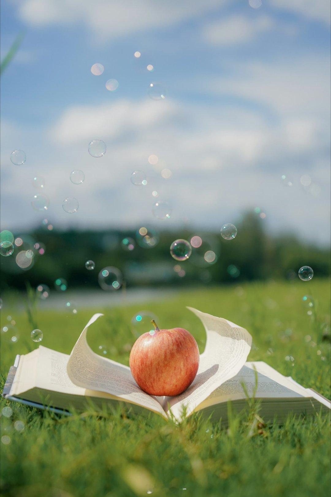 一片风景从少年看起，看到白发苍苍，风景就只是不想喧哗的心事了。——蒋勋