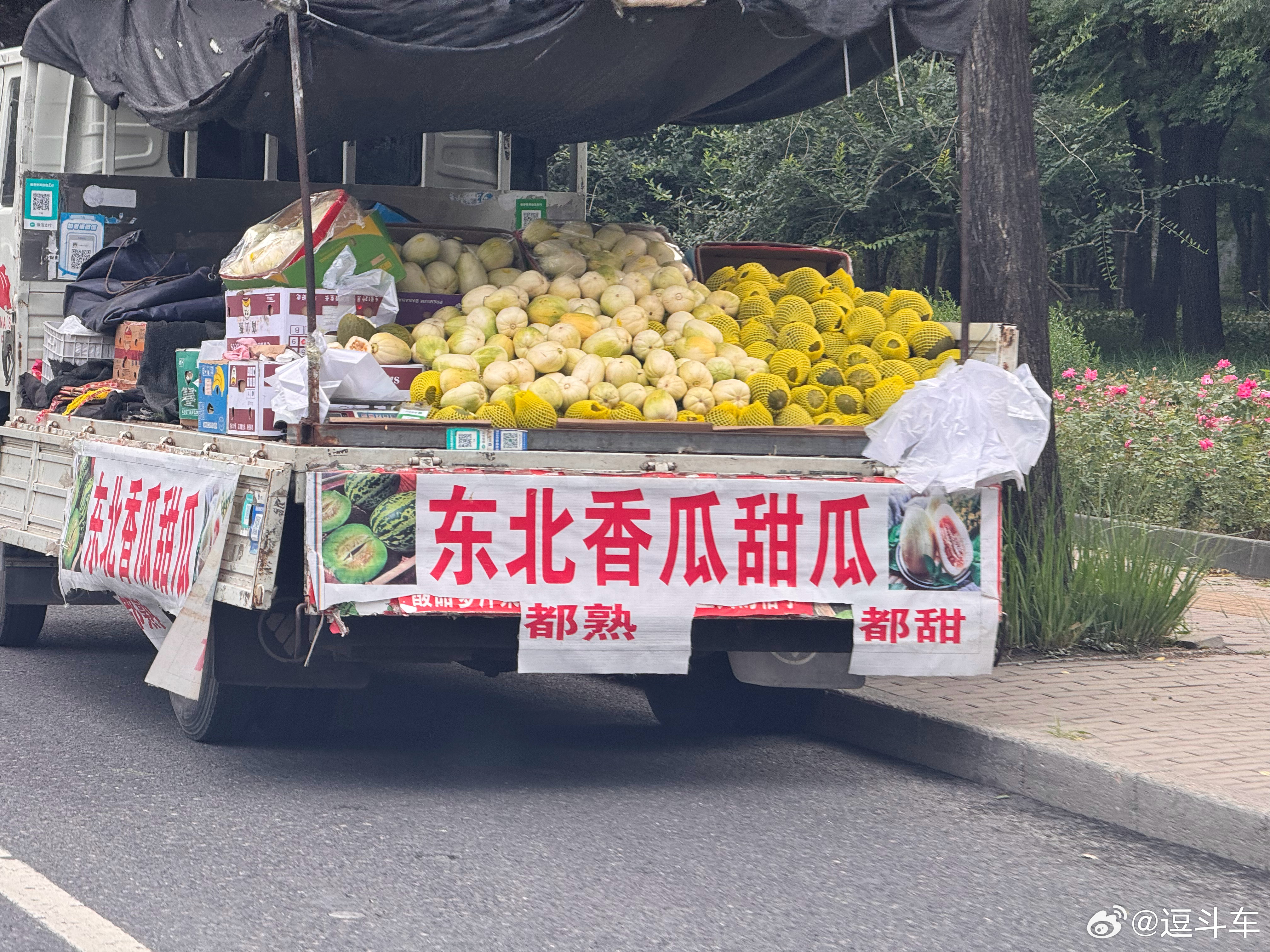 选词填空，__都熟__都甜
