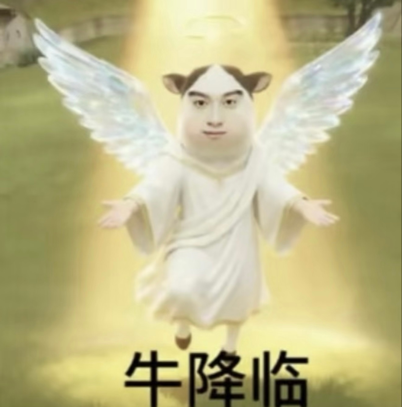 7.1米～今日份任务来喽！首先还是签到！签到！签到！福袋！福袋！福袋！1️⃣米米