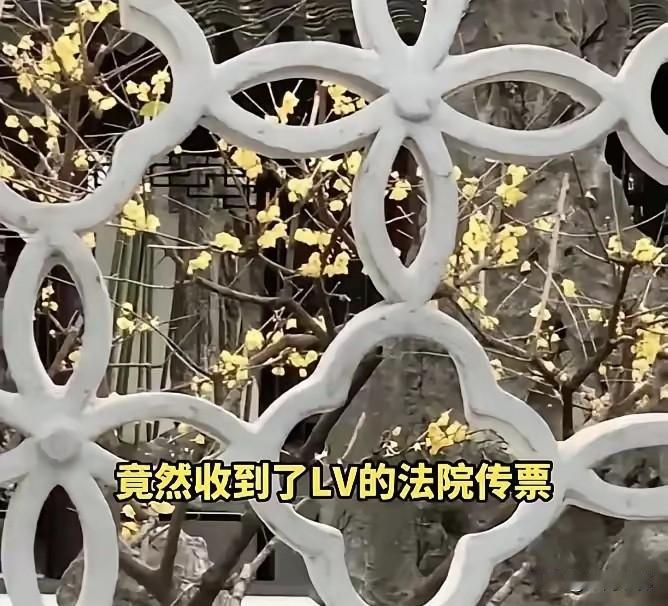LV完全不务正业了，竟然连夏门的一家楼盘的开发商也起诉了，靠打官司来为公司盈利了