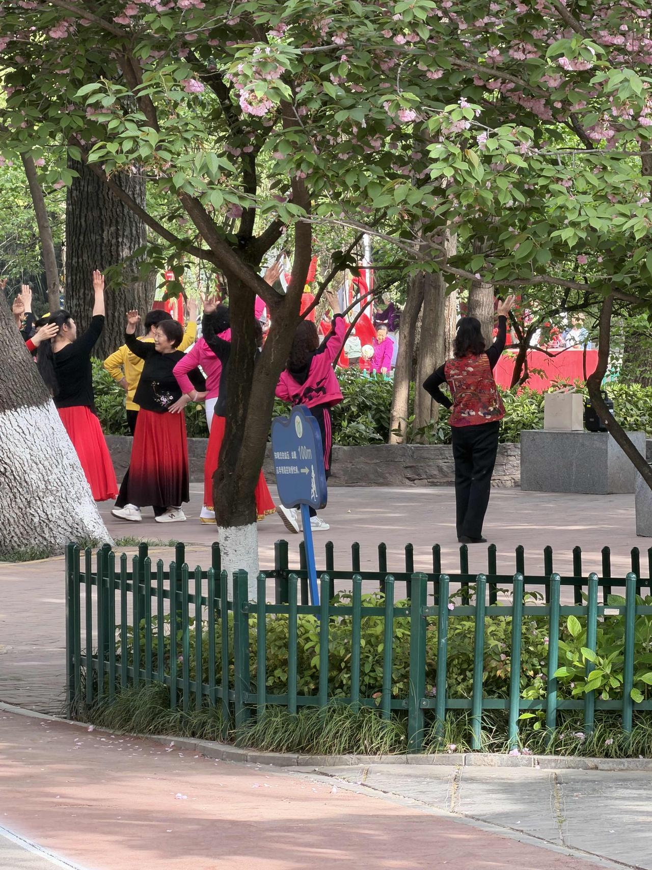 今天上午，我来到西安东郊的长乐公园里转转。
长乐公园，前身是西安最早的动物园。