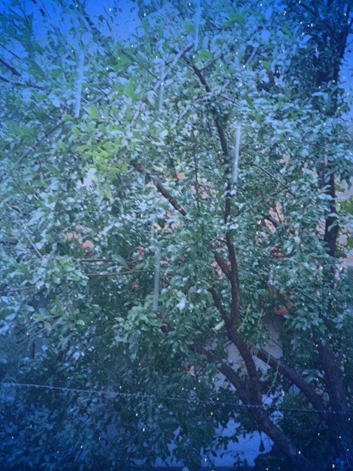 记录我的2026这雨下的太大了，真的好长时间没下雨了，但愿地里的庄稼还没有受旱，