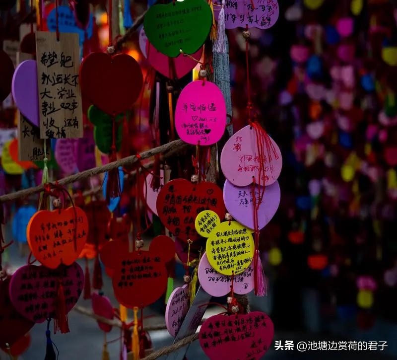 今年春天，我最想实现的心愿就是去一趟江南古镇。想象着漫步在乌镇的青石板路上，感受