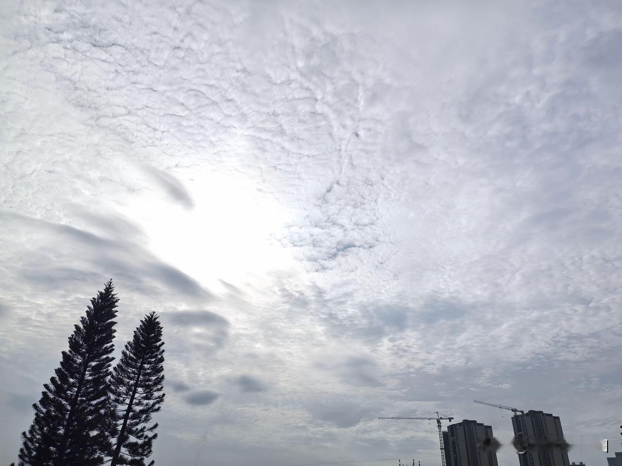 今日处暑！受双台风左右夹击，广东开启雨雨雨模式！

台风“紫檀”和“简拉维”相继