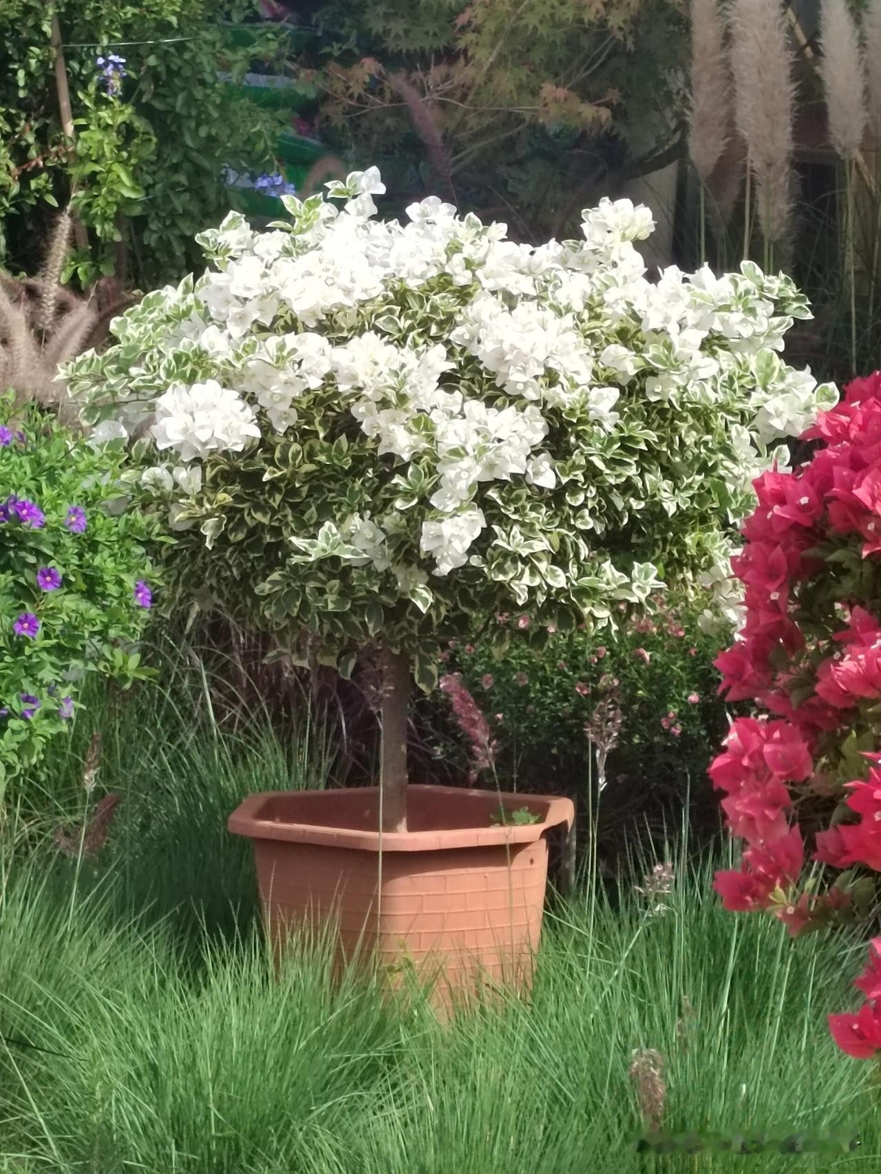 秋日生活打卡季