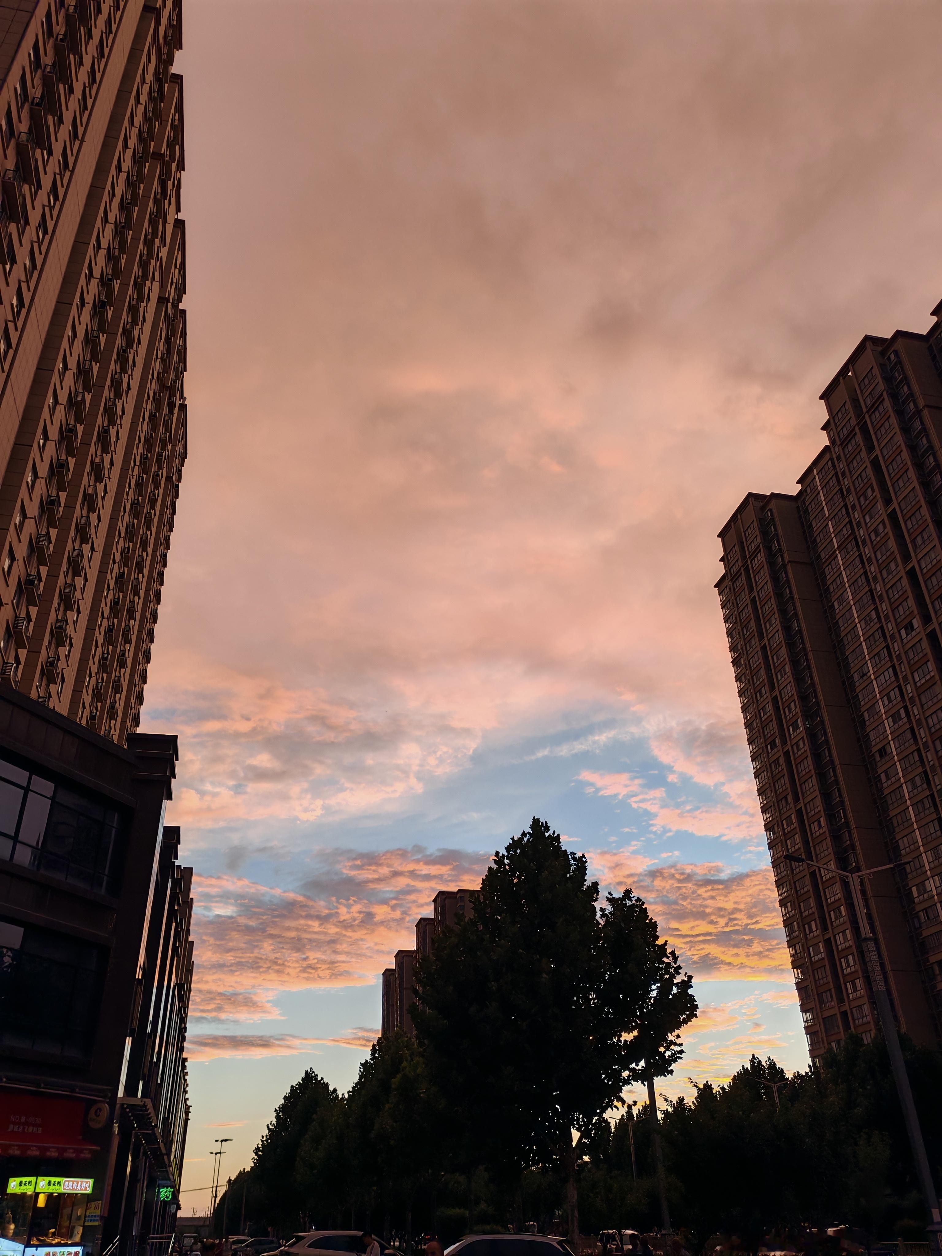 🌅 