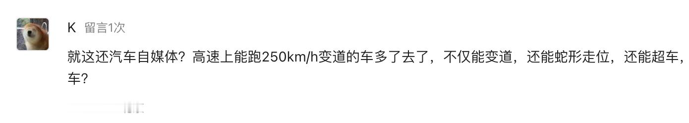 网友评论太吓人了：“就这还汽车自媒体？高速上能跑250km/h变道的车多了去了，