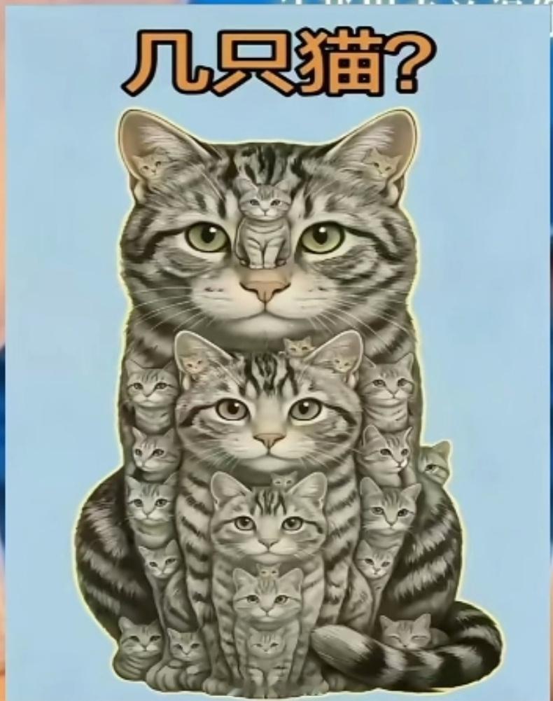 你看出有几只猫？