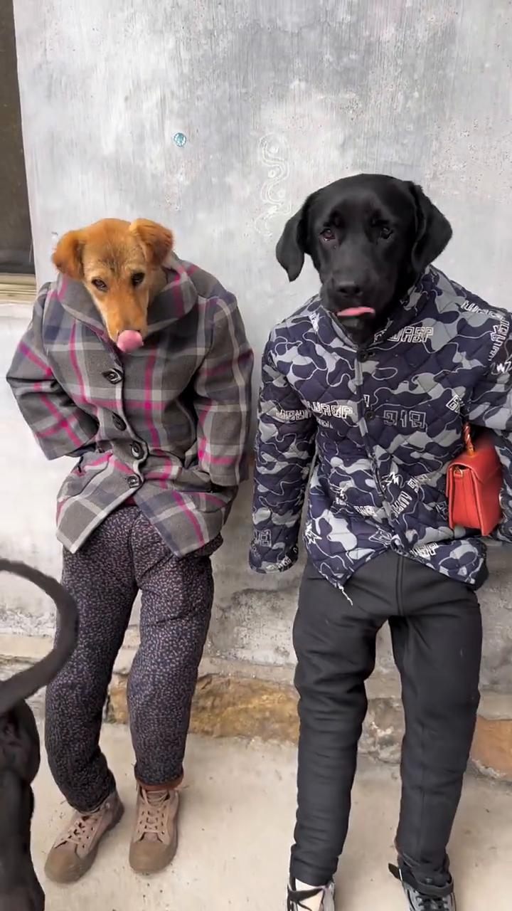 哈哈哈哈哈。