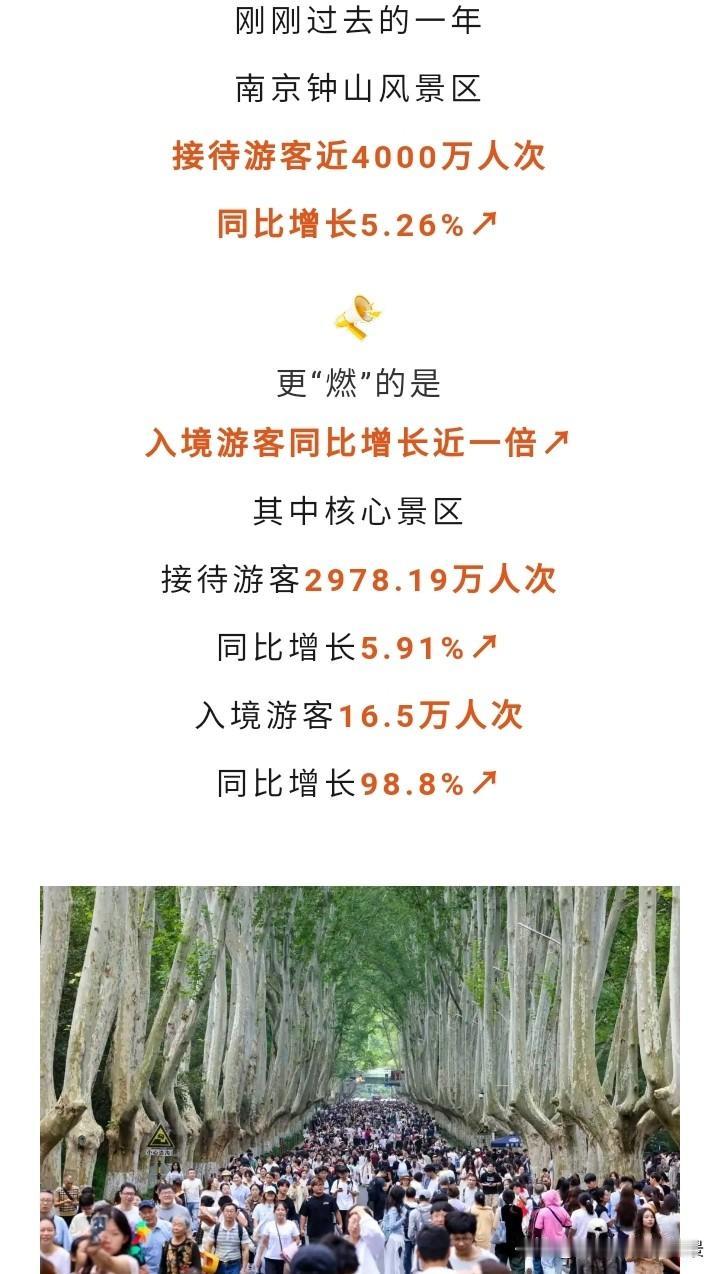知道南京钟山风景区火爆，但没想到那么受欢迎，去年一下子吸引4000万人次到访，相
