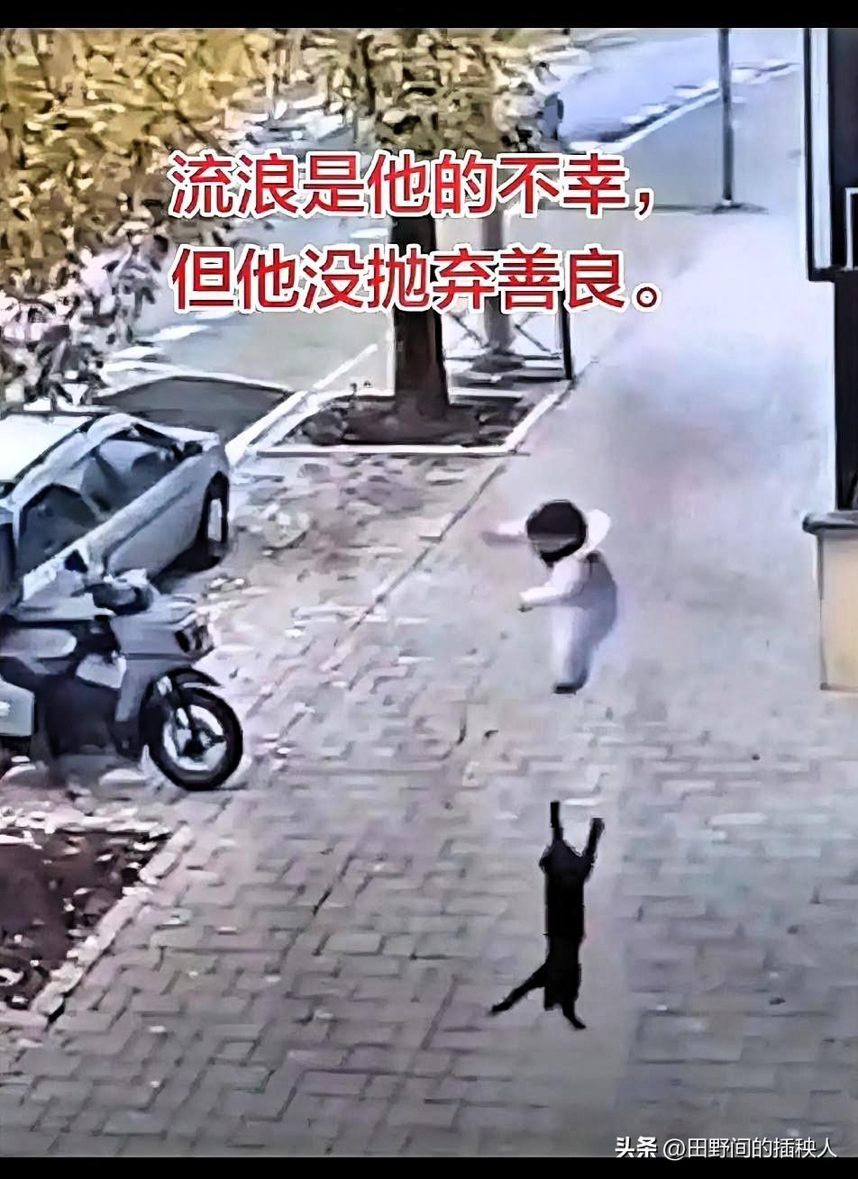 杭州一老小区里，发生惊险一幕。
小男孩从三楼窗台掉下来，千钧一发之际，楼下蹲着的