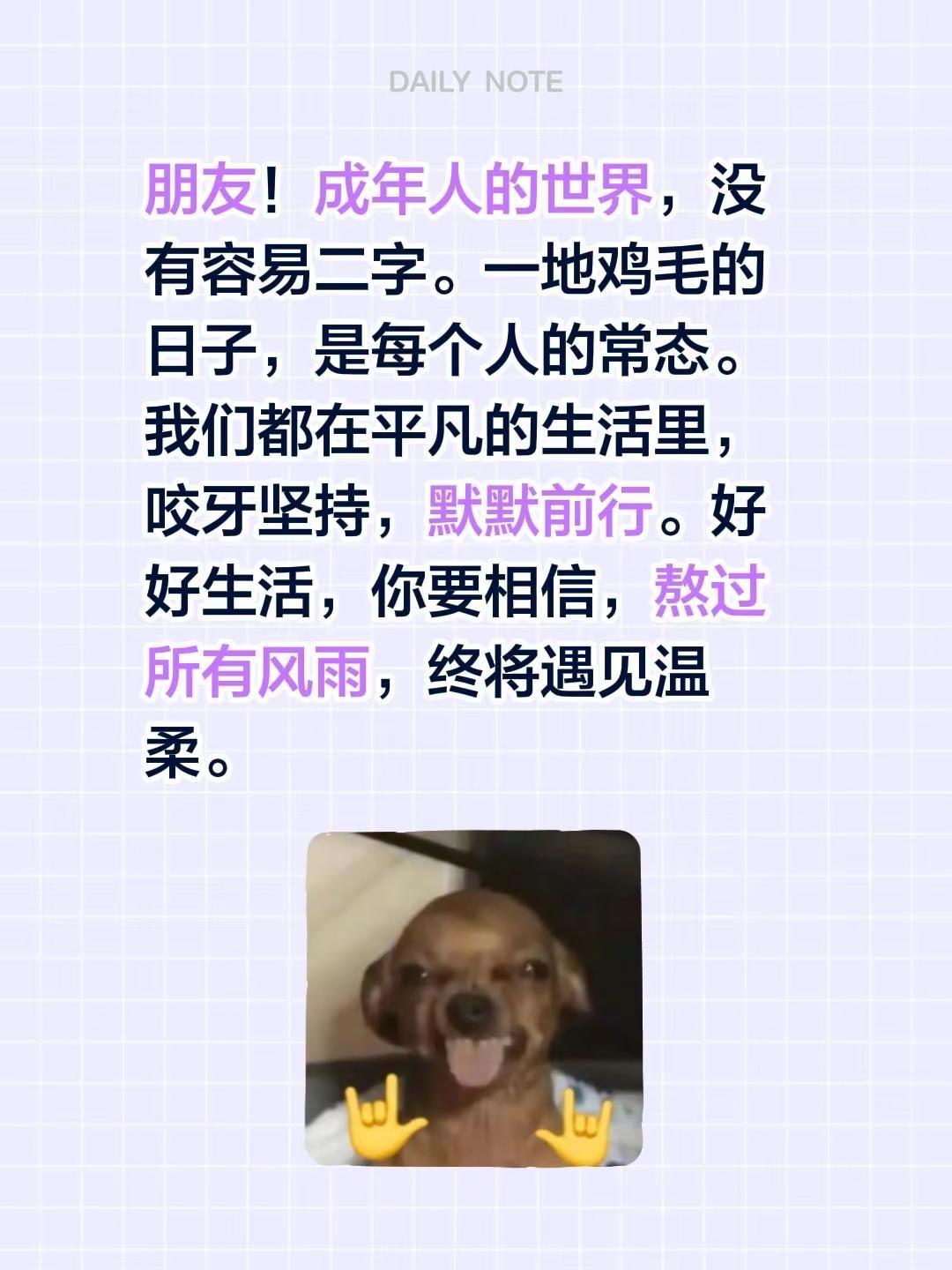 蓝光心里话……我评论了@KK 的作品：朋友！成年人的世界，没有容易二字。一地鸡毛