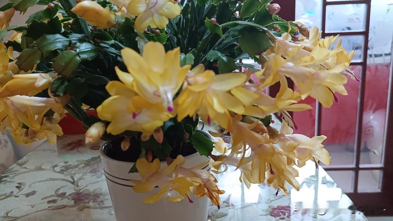 原来富裕家庭也有财迷的人！我有一朋友很久没见面了，最近约好了去她家串门，朋友家住