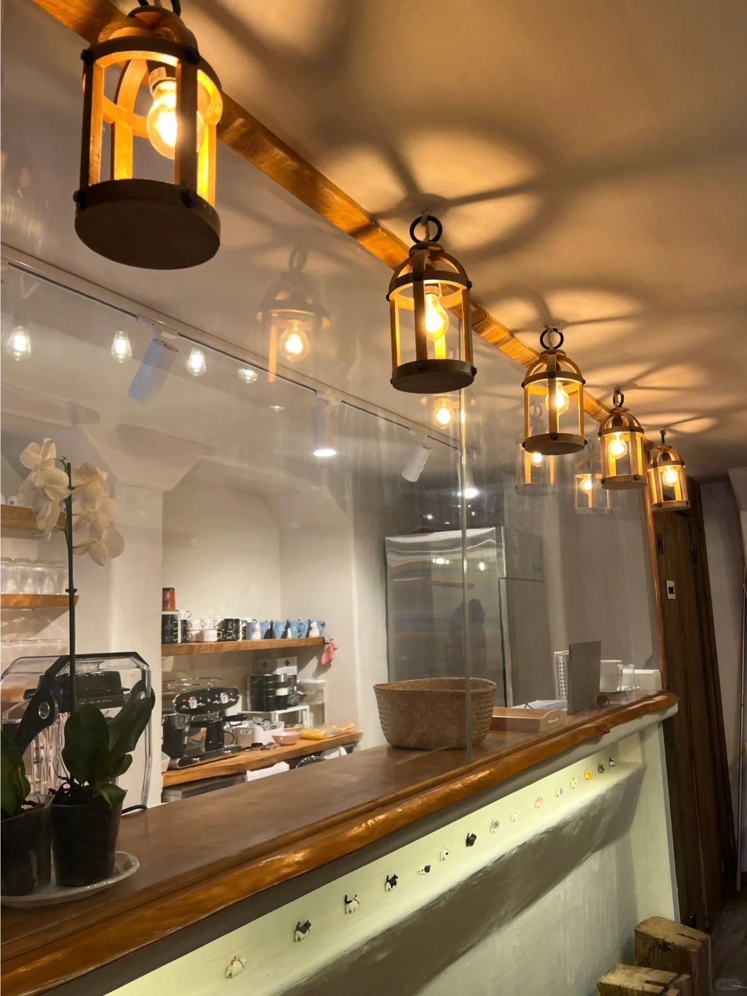 巴黎新店| 治愈系猫咖☕️喵星人乐园天花板