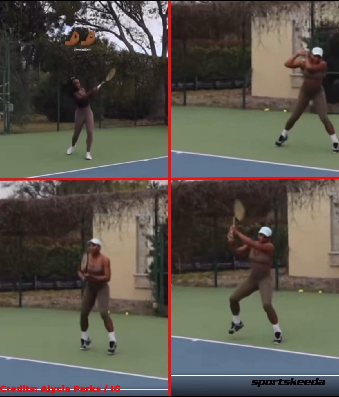 网球talking大会 艾丽西亚·帕克斯证实，她一直在南佛罗里达与塞雷娜·威廉姆