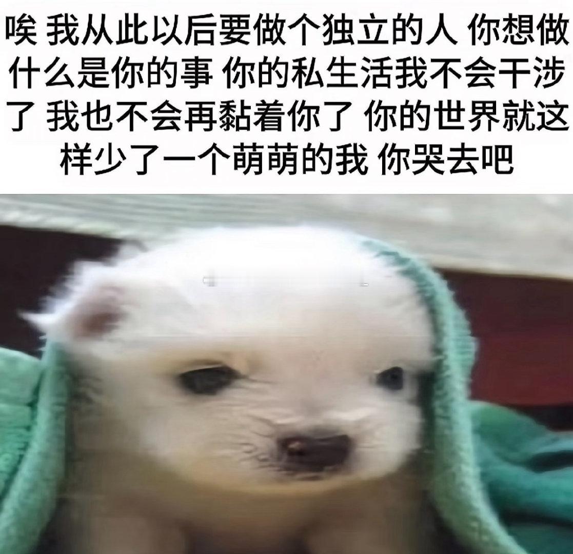 分享图片 
