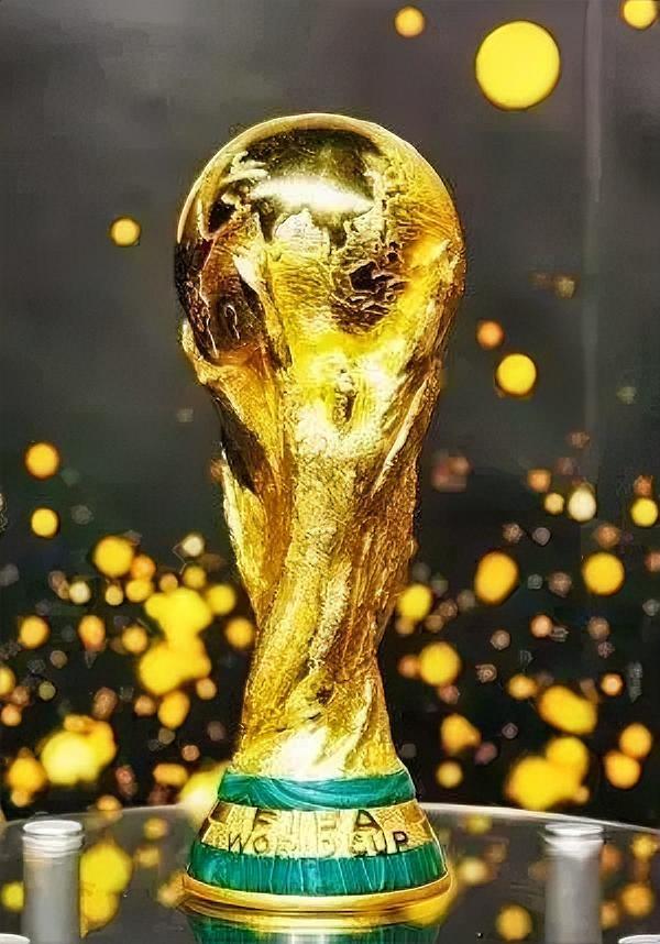 公平与否你说了算！六大洲足球世界杯晋级名额占总数比一览

1、南美洲，6.5个名