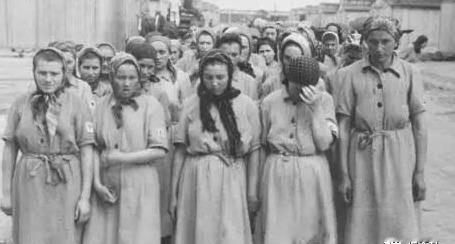 1941年，一群犹太女人被带到帕茹斯特森林，正当她们将要被处决时，立陶宛民兵成员
