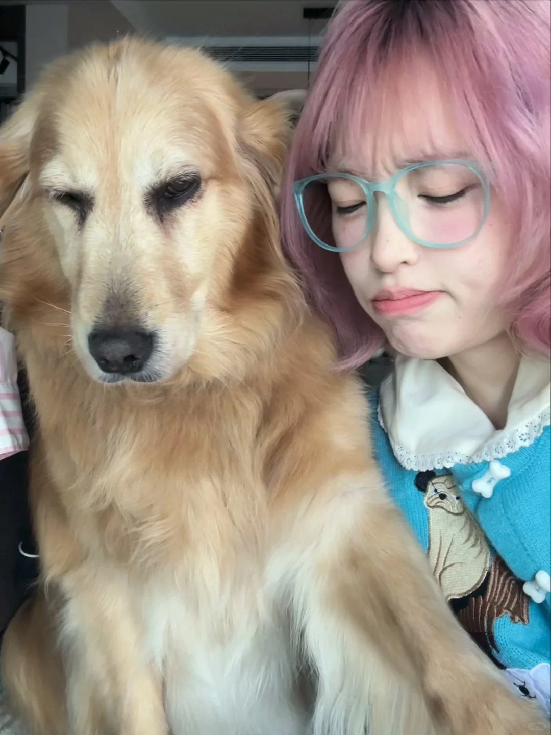 既然你有别的狗了🐶就别碰我了吧……