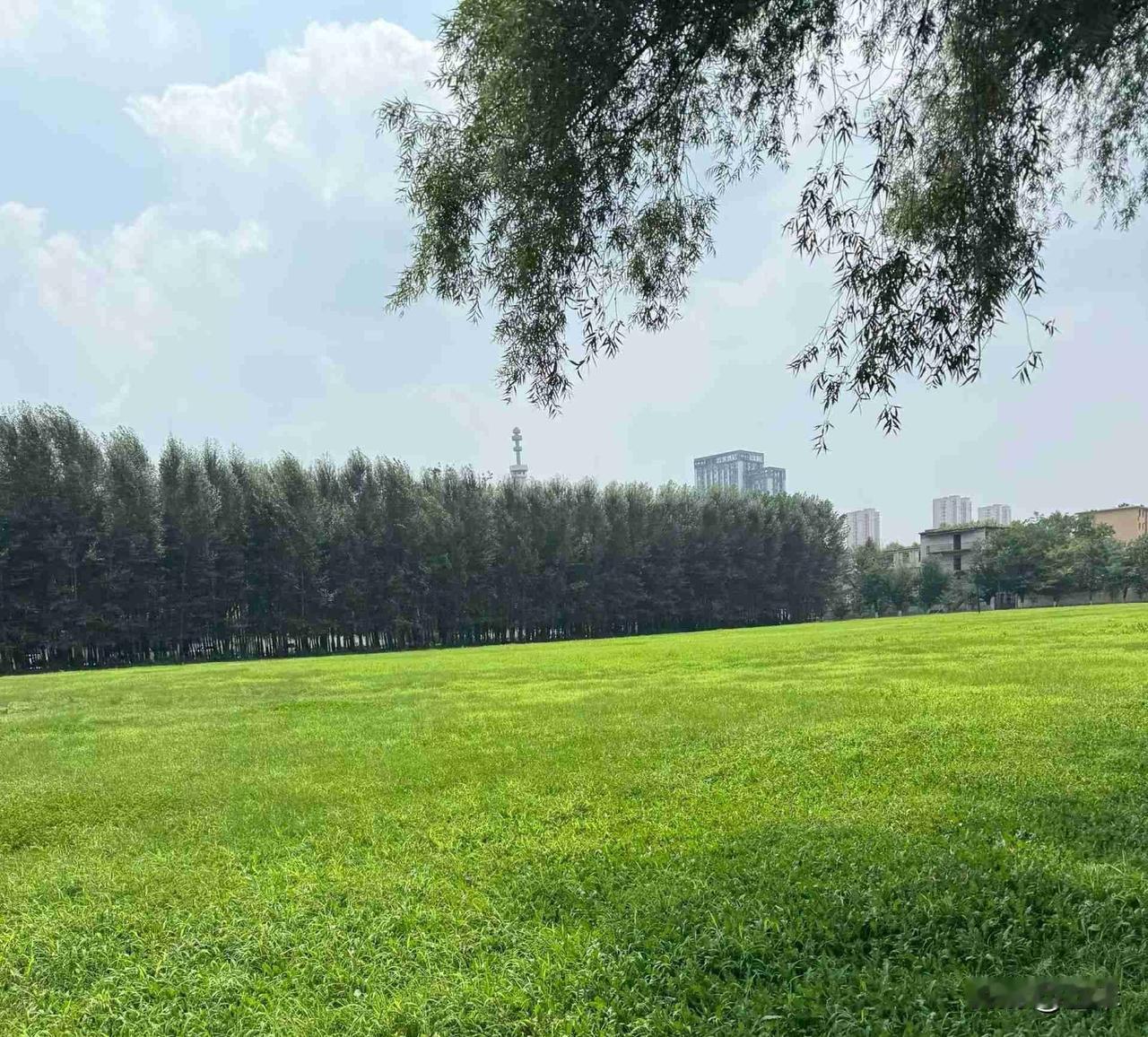 海边旁的一块空地，这里真是太好了，准备在这里呆一天[偷笑]听海风，听知了，看天，