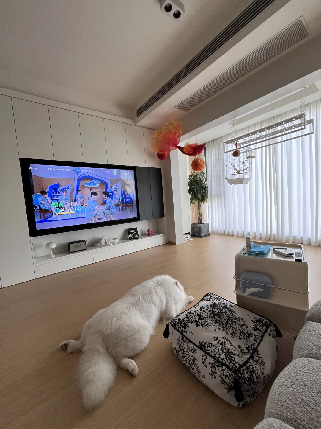 有了“二胎”后的客厅🛋️
