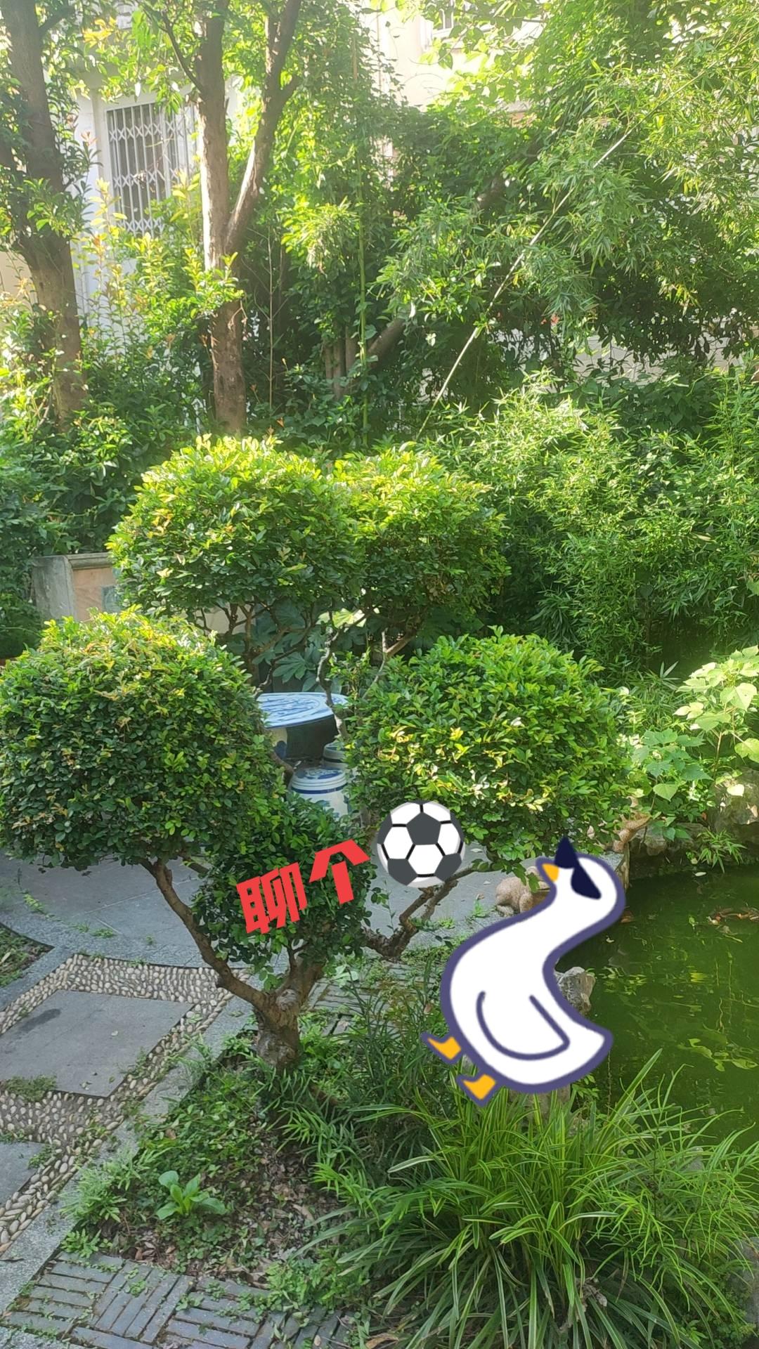 U23亚洲杯结束了，成绩固然可喜，但差距同样明显并没有改变。中国足球依然任重道远