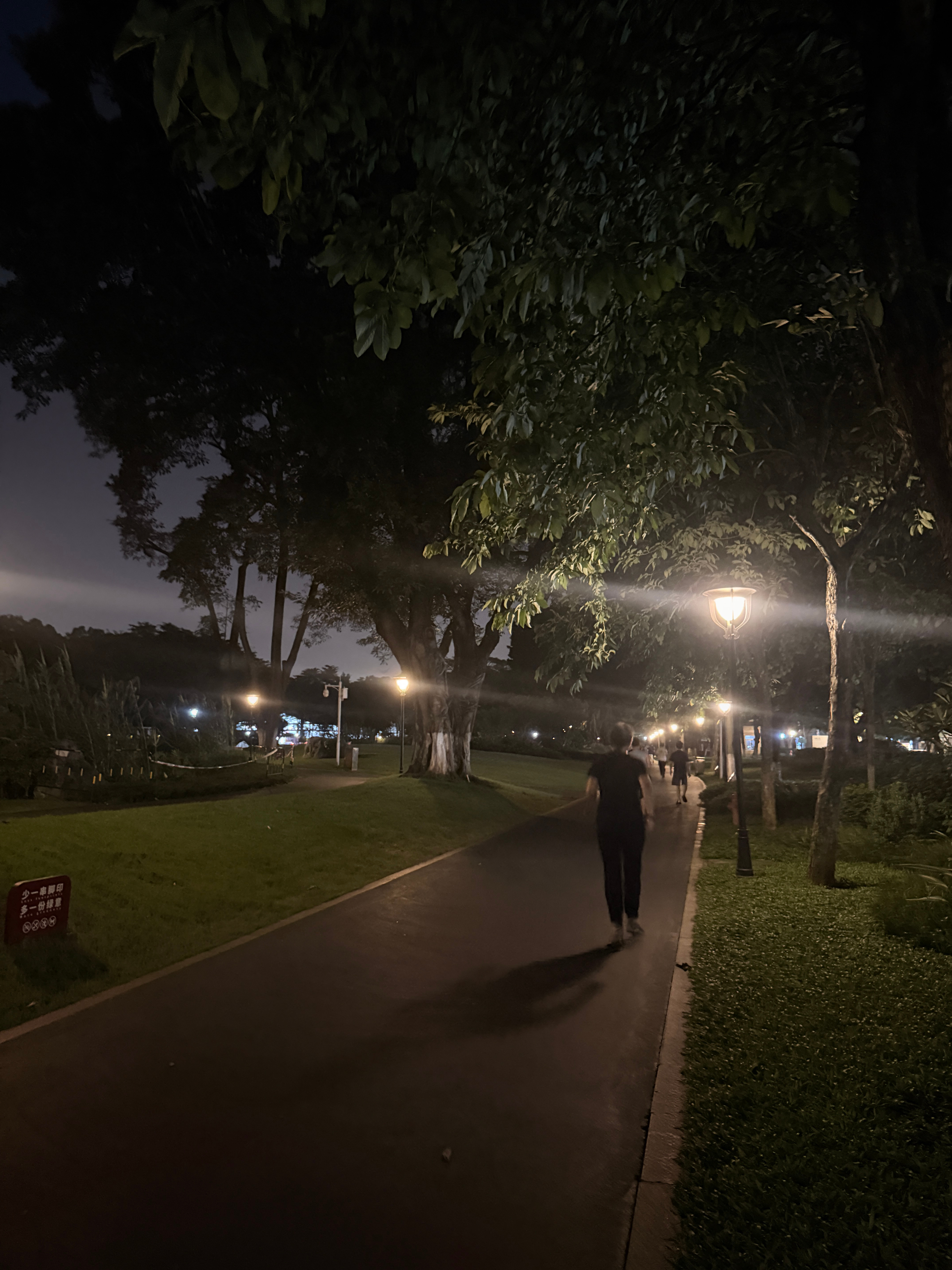 久违的夜跑，公园比健身房安逸🏃♀️ 