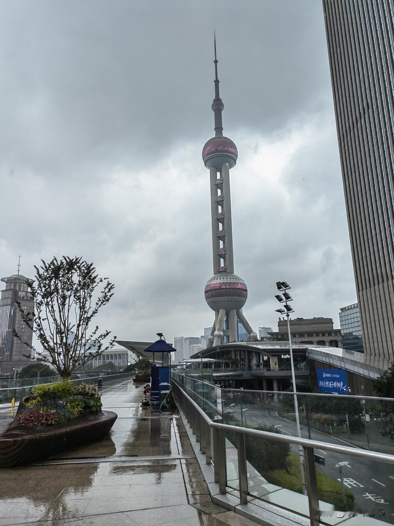 梅雨


还需要用假想来安慰么
望见梅子，总能唤起一片清凉
好在生活务真求实
不