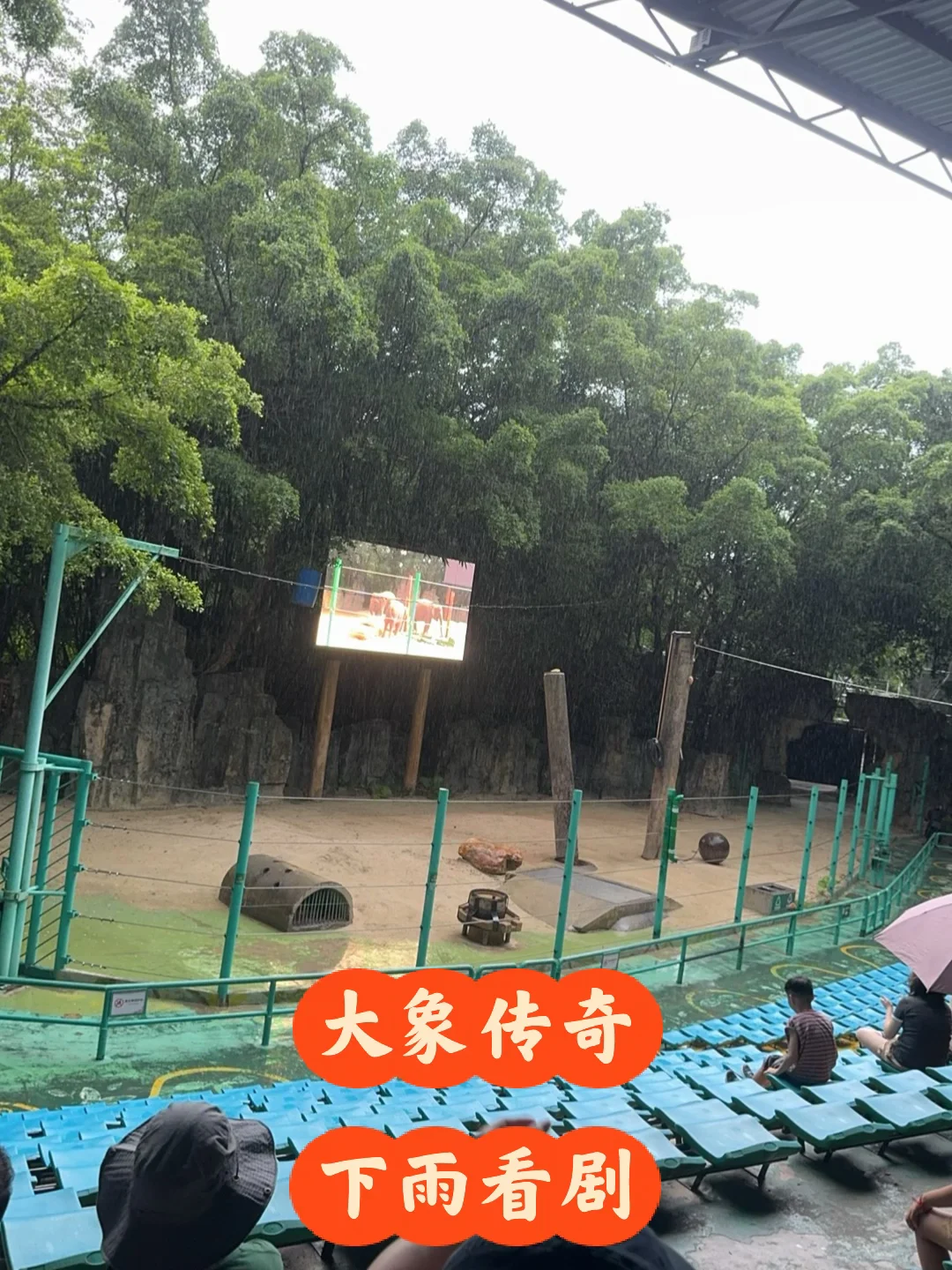 长隆野生动物世界6月23日