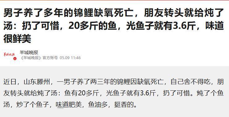 太离谱了！5月9日报道，山东一男子养了两三年的20多斤大锦鲤意外缺氧身亡，男子舍