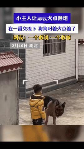 “万万没想到！”湖北，一小男孩和自己狗子在门前点鞭炮迎接爸爸回家，可在点鞭炮时，