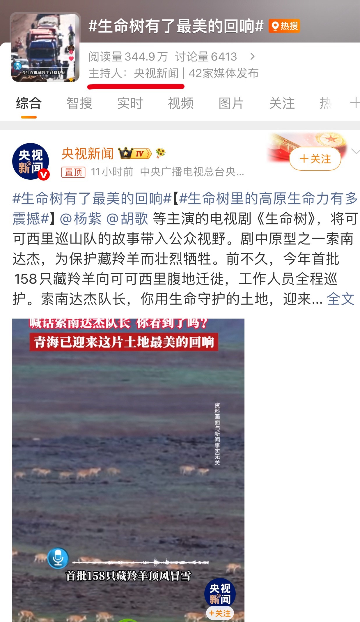 生命树有了最美的回响杨紫一路走来靠自己，根正苗红的好演员有🐑妈冲在前面安利，《
