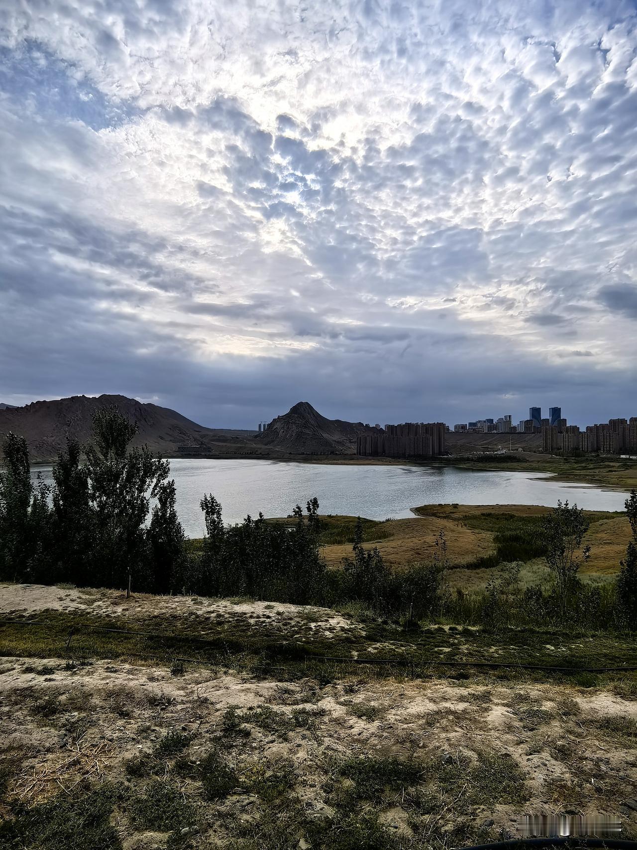 盛夏来乌鲁木齐白鸟湖湿地，简直是一种享受！今年我都来了好几次了，每次都有不同感受