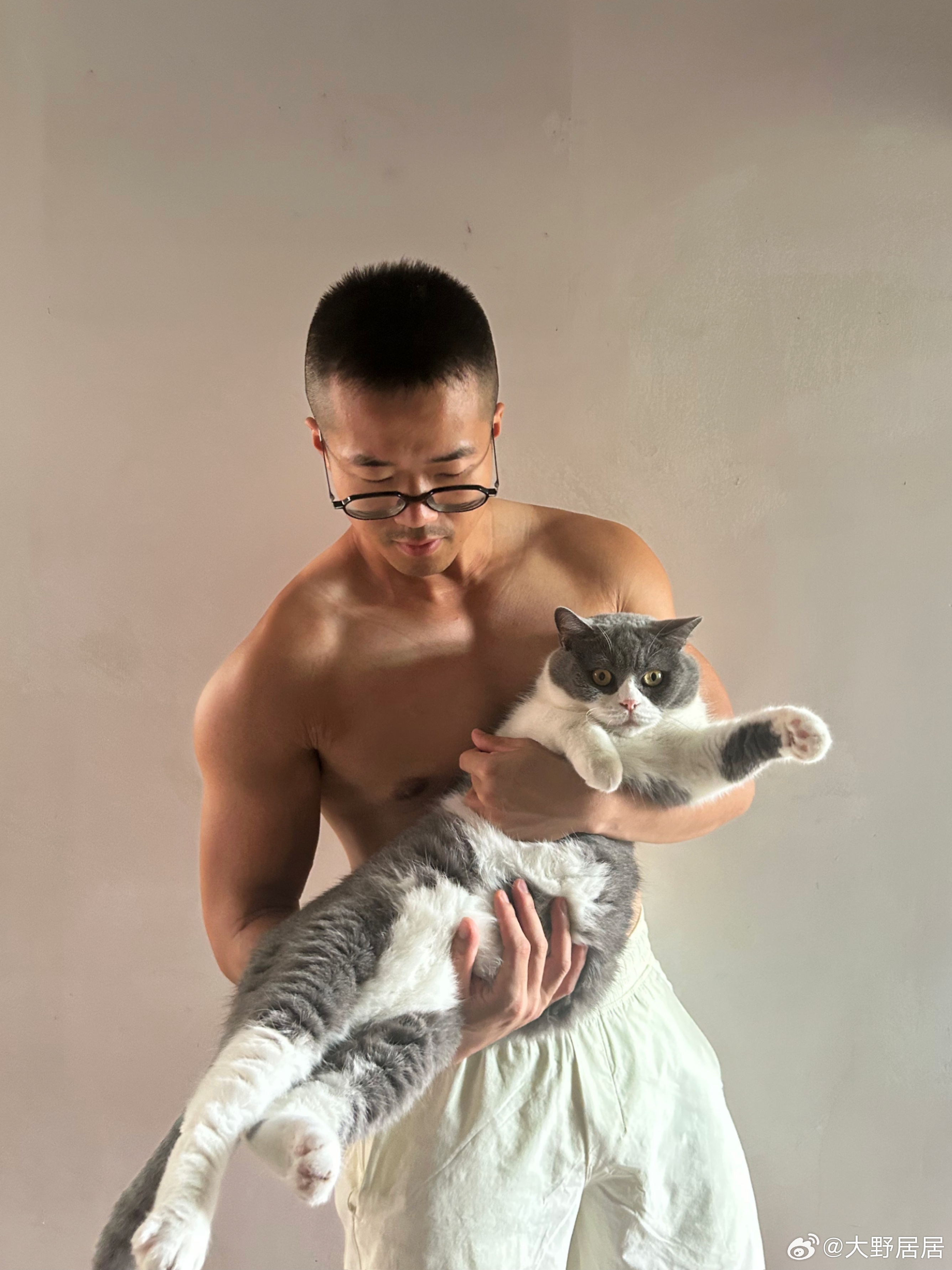 好大一条猫哈哈 