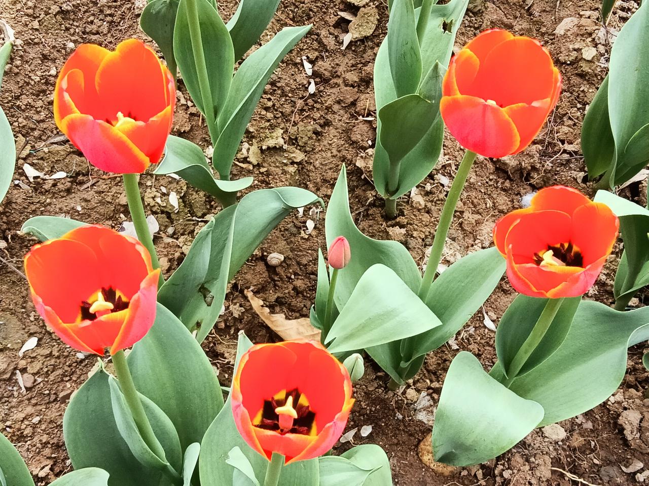 春日生活打卡季