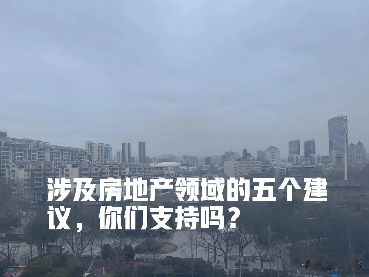 两会召开了，涉及房地产领域，我提五个微建议：

建议一：政府开发建设保障性住房，