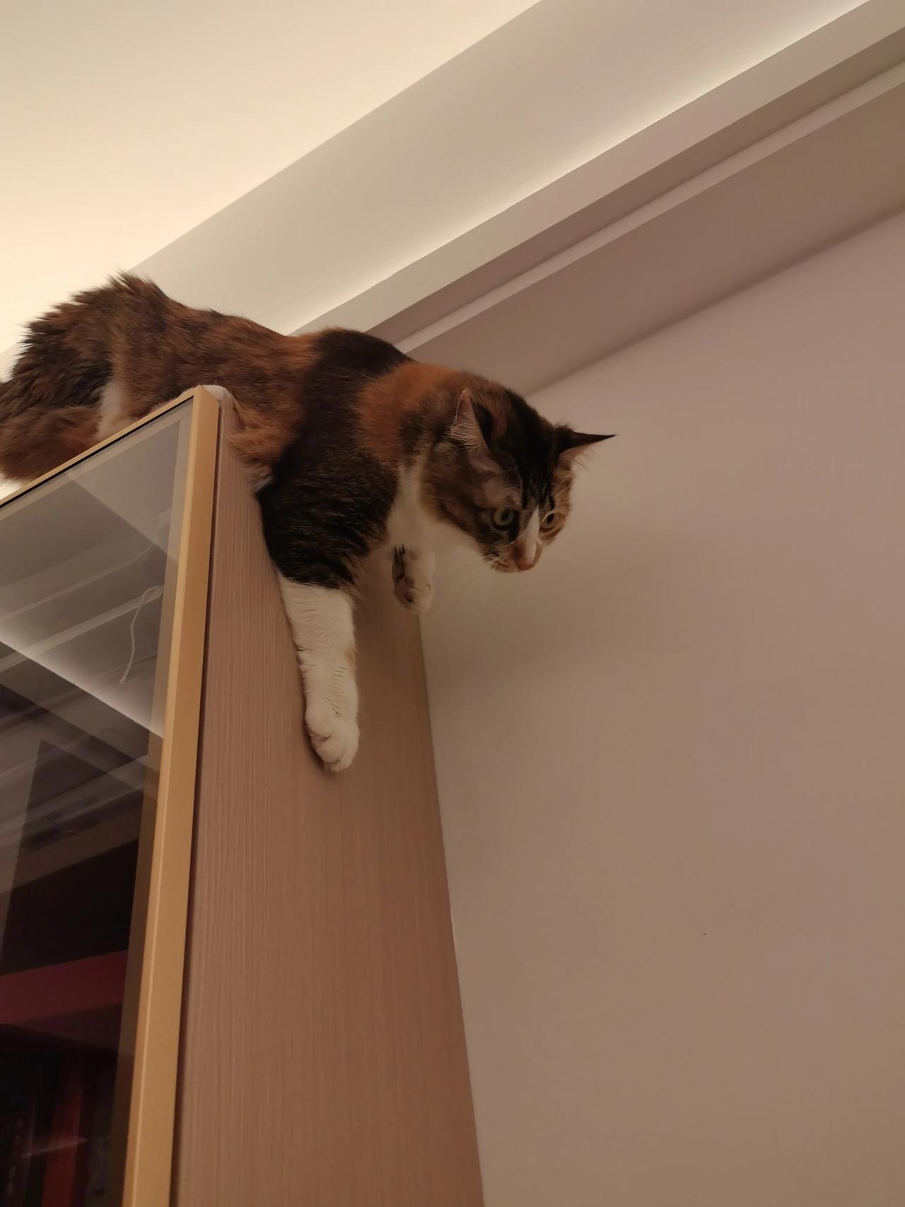 实名举报一般的处理流程是什么